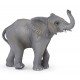 JEUNE ÉLÉPHANT