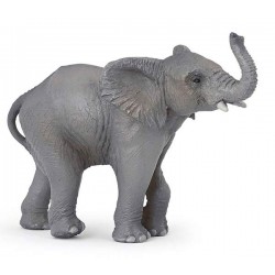 YOUNG ELEPHANT