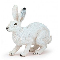 LIÈVRE POLAIRE
