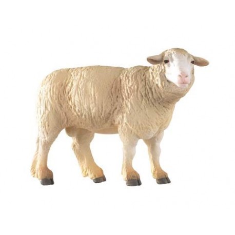 Merinos Sheep