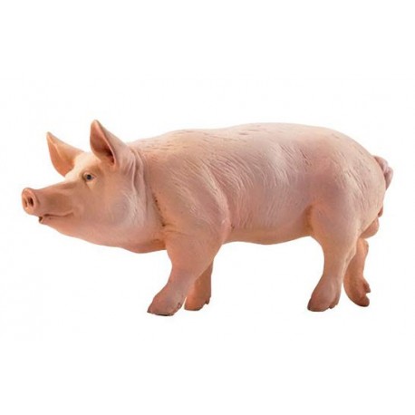 VERRAT