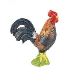 Coq gaulois