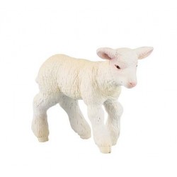 MERINOS LAMB