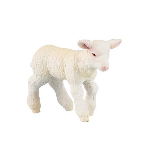 Merinos Lamb