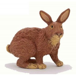 Brown rabbit