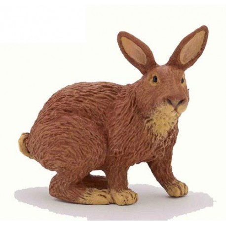 Brown rabbit