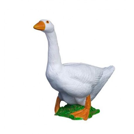 White goose