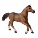 CHEVAL ANGLO ARABE
