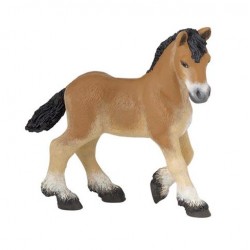 Ardennais Draft foal***