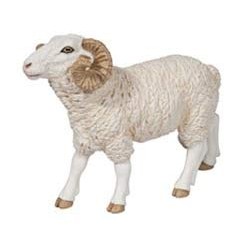 RAM