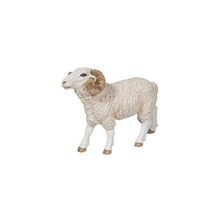 RAM
