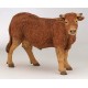 VACHE LIMOUSINE