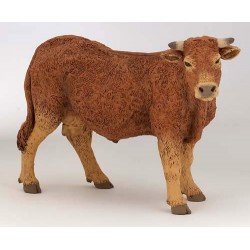 VACHE LIMOUSINE