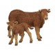 VACHE LIMOUSINE