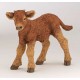 Limousine Calf