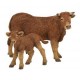VEAU LIMOUSIN