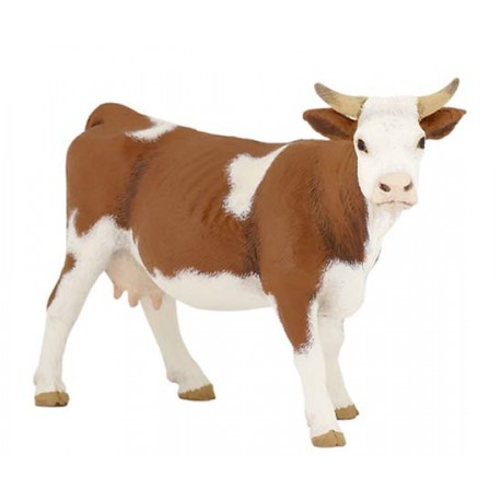 Simmental Cow