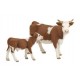 Vache Simmental