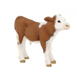 Simmental Calf