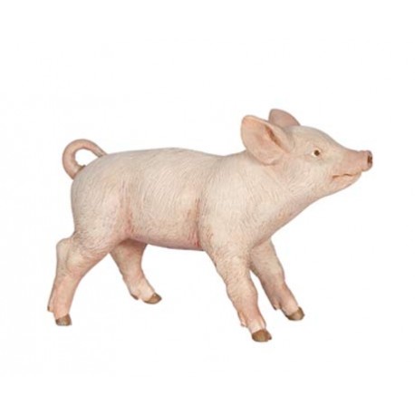 Female Piglet