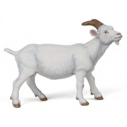 CHÈVRE BLANCHE