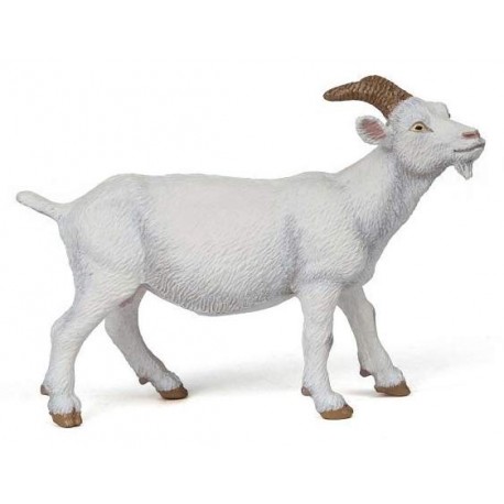 White nanny goat