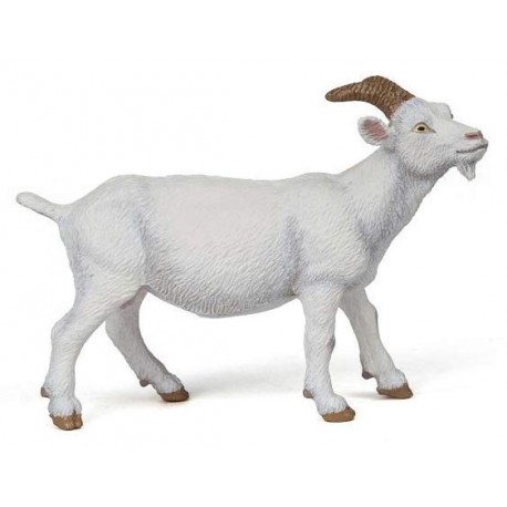 WHITE NANNY GOAT