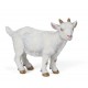 CHEVREAU BLANC