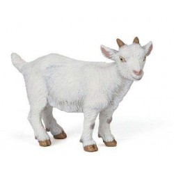 CHEVREAU BLANC
