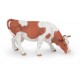 Vache simmental broutant