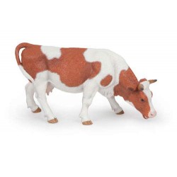 Vache simmental broutant