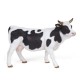VACHE PIE