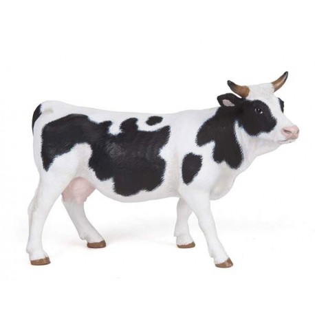 Black and white cow