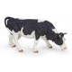 VACHE NOIRE ET BLANCHE BROUTANT