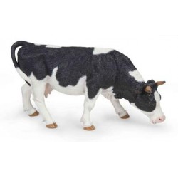VACHE NOIRE ET BLANCHE BROUTANT