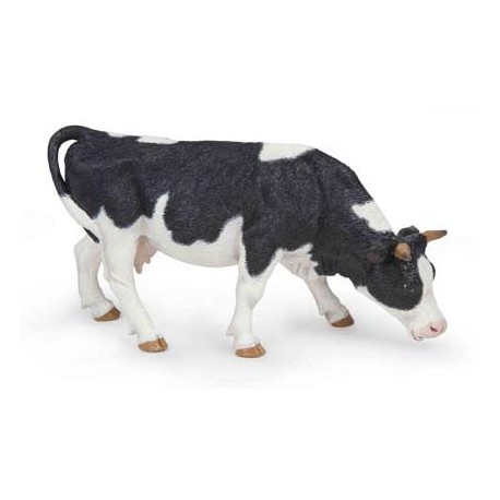 VACHE NOIRE ET BLANCHE BROUTANT
