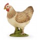 POULE