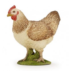 Hen