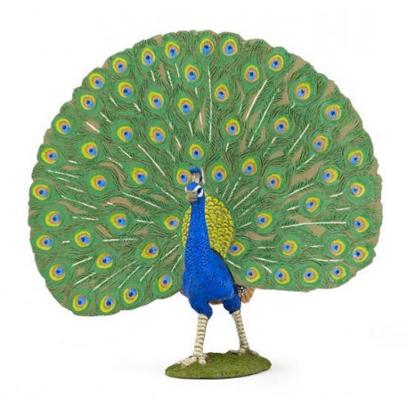 PEAFOWL