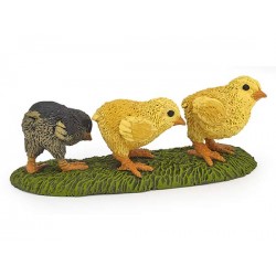 POUSSINS