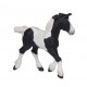 POULAIN COB NOIR