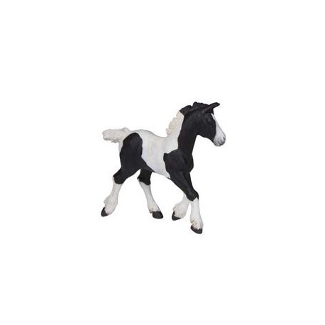 Black piebald cob foal