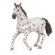 JUMENT APALOOSA