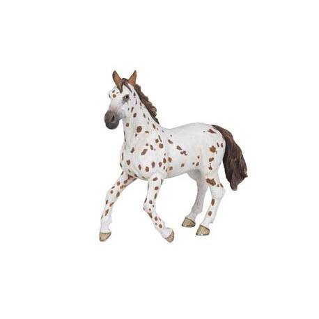 JUMENT APALOOSA