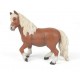 PONEY SHETLAND