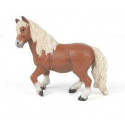 PONEY SHETLAND