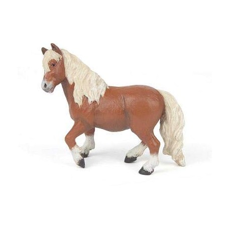 PONEY SHETLAND