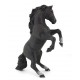 CHEVAL CABRÉ NOIR