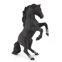 Black reared up horse