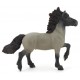 Islandic horse